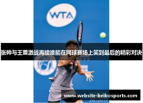 张帅与王蔷激战再续谁能在网球赛场上笑到最后的精彩对决