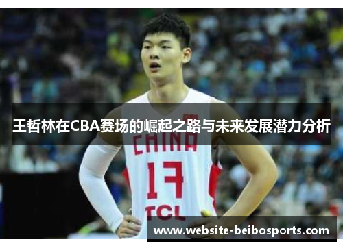 王哲林在CBA赛场的崛起之路与未来发展潜力分析